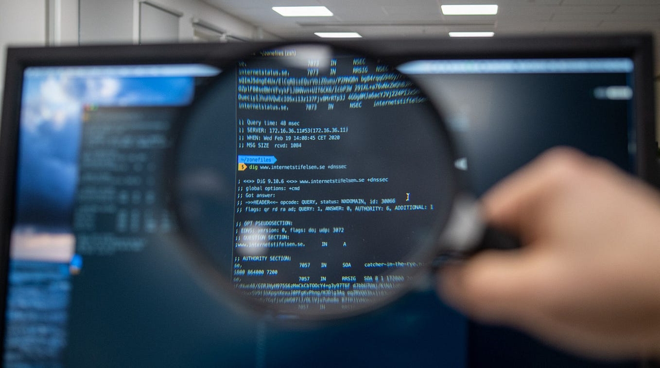 magnifying glass examines data on computer screen